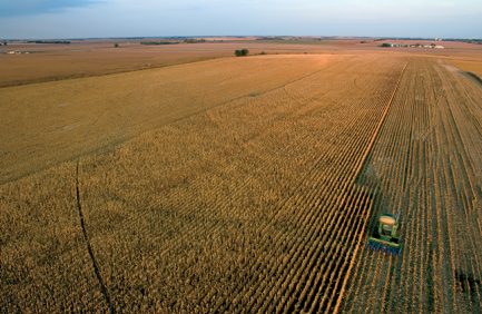 Corn harvesting in Nebraska