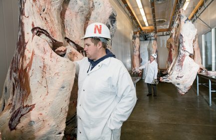 student Cory Peters checks the grade of meat at University of Nebraska Lincoln meat lab