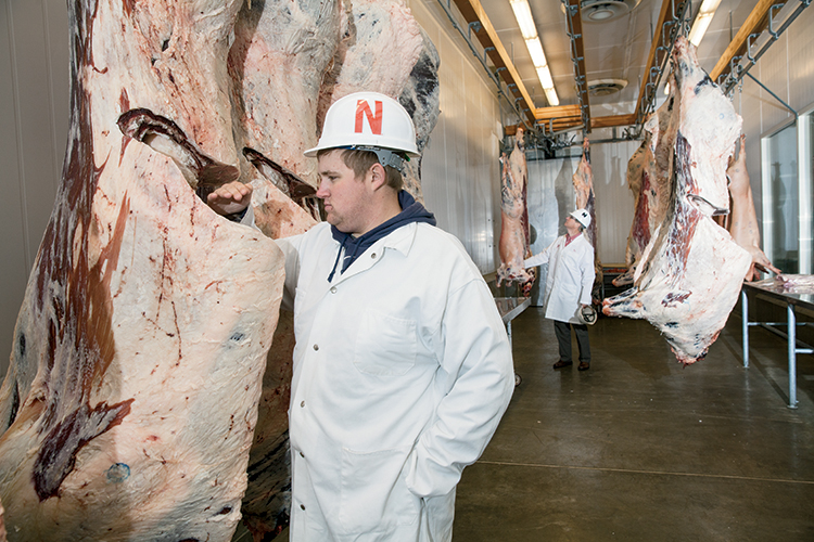 student Cory Peters checks the grade of meat at University of Nebraska Lincoln meat lab  