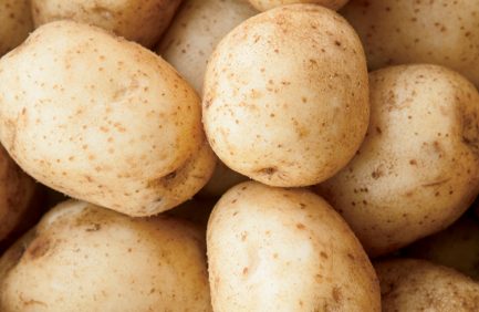 Nebraska potatoes