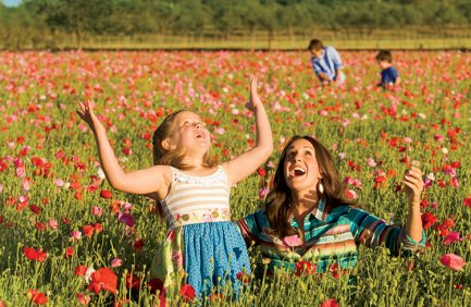 Guests enjoy a field of flowers at Wildseed Farms in Fredericksburg, Texas