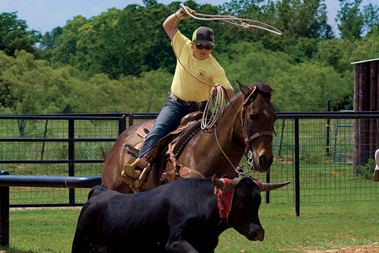 Kreece Dearing ropes a steer and practices his rodeo skills at his family’s farm in Paradise, Texas.