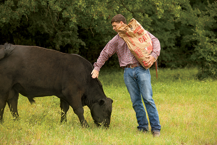 Cole Hudson, 18, helps care for beef cattle. He says farm chores taught him time management.