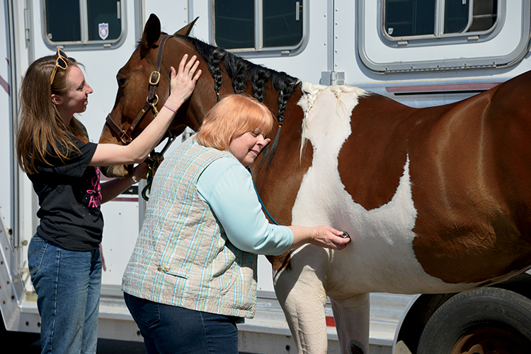 DATCP Vet Dr. Julie McGwin checks on horses coming into the Midwest Horse Fair.