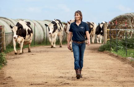 Stacy Eberle leads dairy cows from the barn to the milking parlor in Monroe, Wisconsin, Green County.