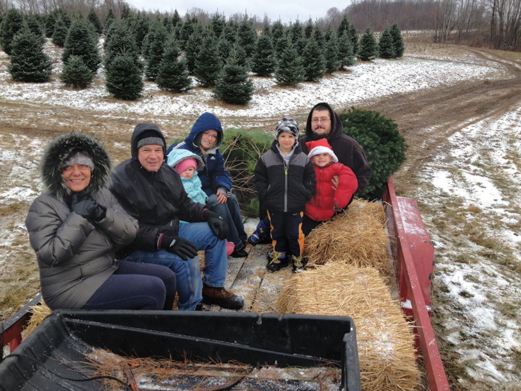 Ohio Christmas Trees