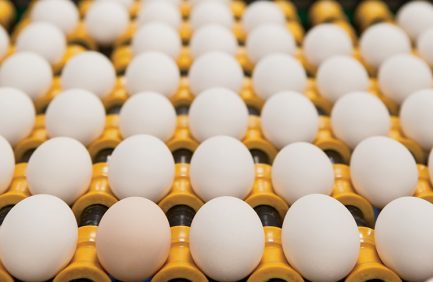 Trillium Farms eggs