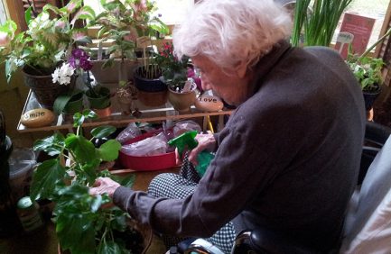 Lorraine New Jersey horticulture therapy