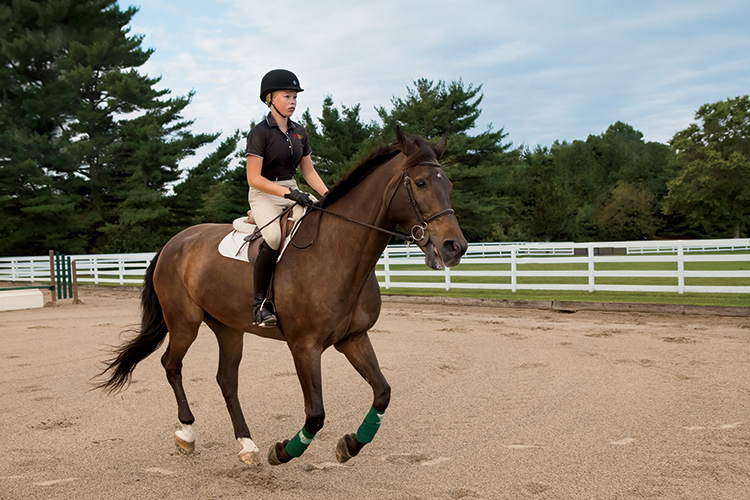 Kirsten Jeansson, 2014 4-H New Jersey Equestrian of the Year