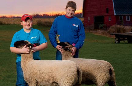 4H FFA animals livestock farm families