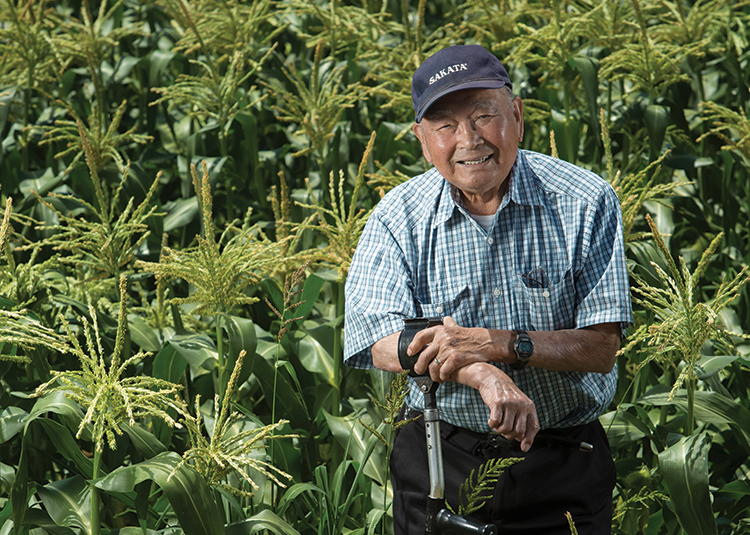 Bob Sakata stands in a field of sweet corn at Sakata Farms.
