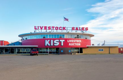 Kist Livestock Auction Company