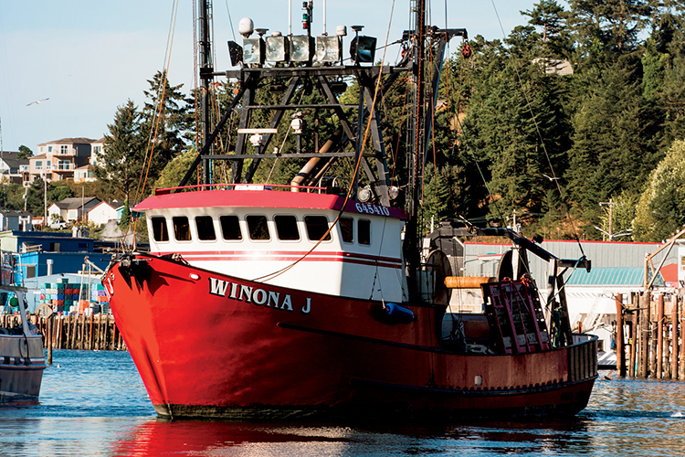 Why Sustainability is Important for Oregon's Seafood Industry - Farm Flavor