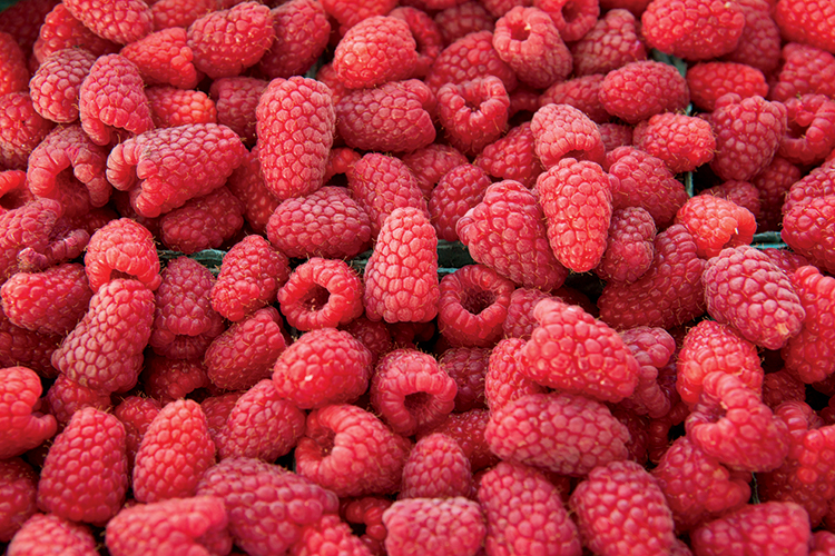 Raspberries at farmers market  in  Oregon