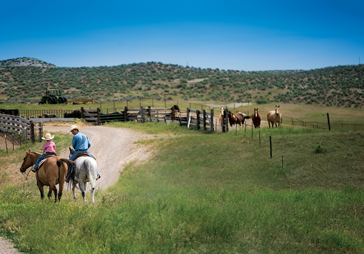 Basque Ranchers in Oregon Embrace Tradition - Farm Flavor