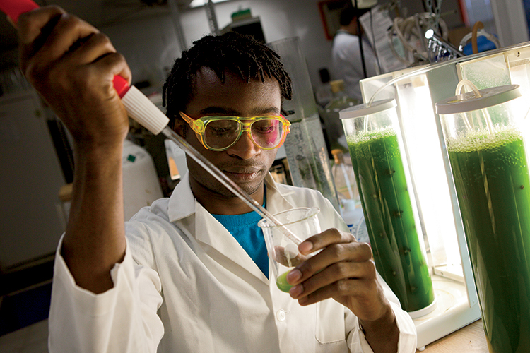 Agricultural degrees open doors for graduates of the University of Florida.