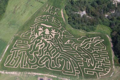 Duck Dynasty Corn Maze