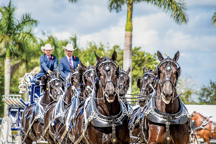 Oklahoma Equine Ambassadors Offer Attraction for Consumers