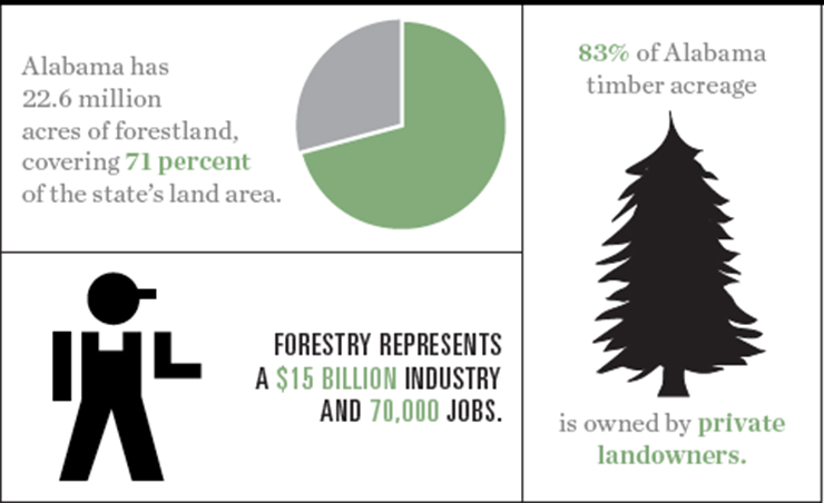 AL Forestry graphic2