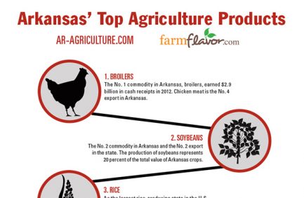 Arkansas Ag Infographic featured