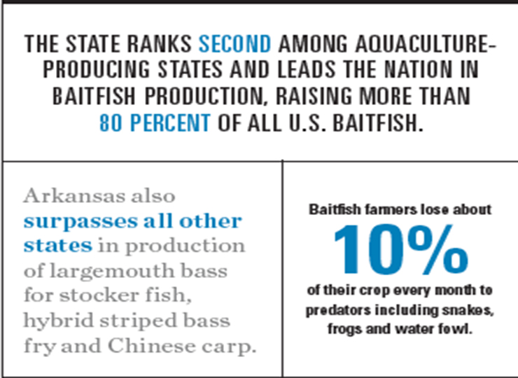 Arkansas Aquaculture Graphic