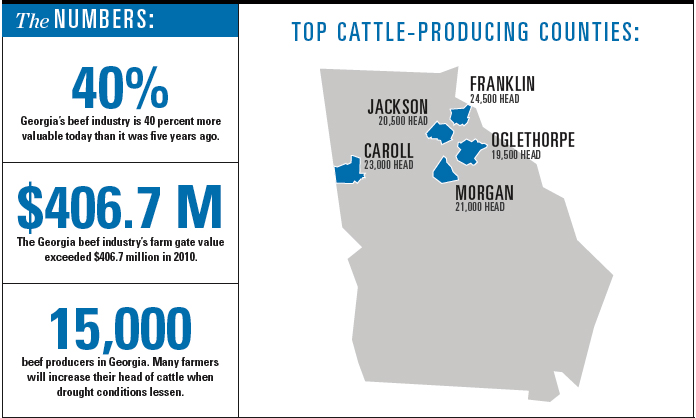Cattle Industry Facts and Statistics