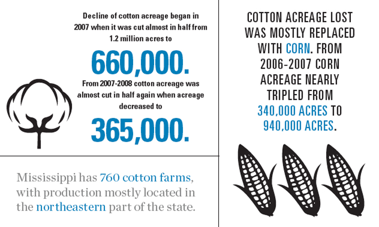 Mississippi Corn and Cotton