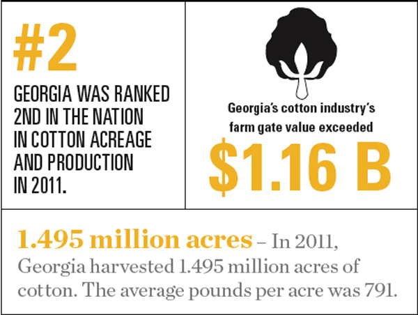 Georgia Cotton Facts and Statistics