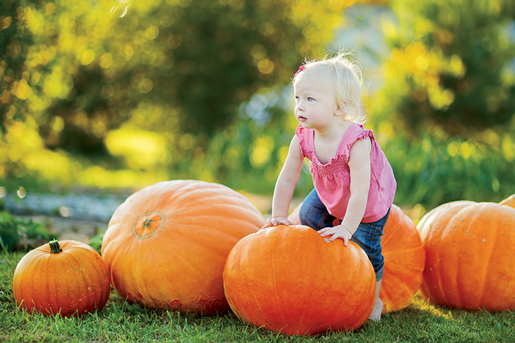 Cute little girl and huge pumpkins