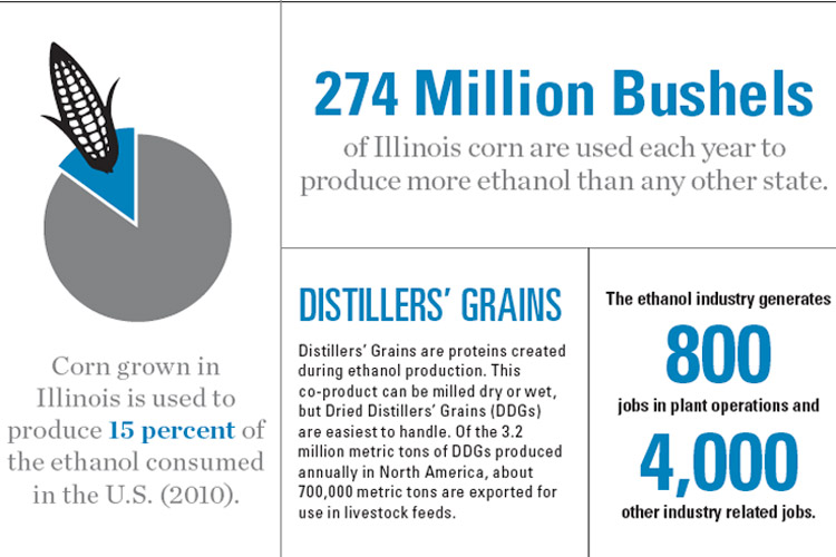 Ethanol Production Facts and Statistics
