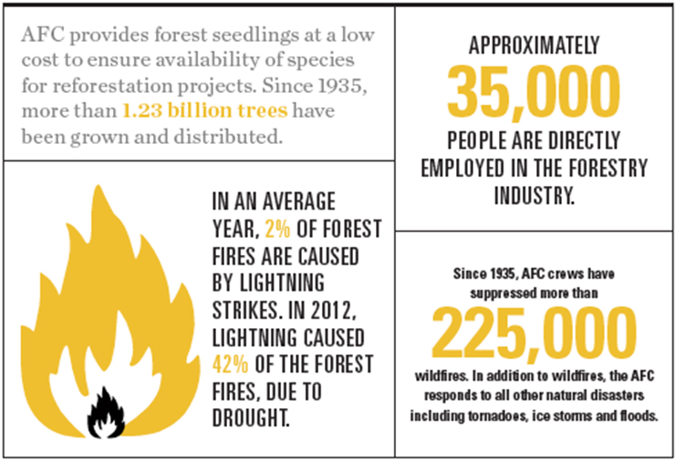 Arkansas Forestry Graphic
