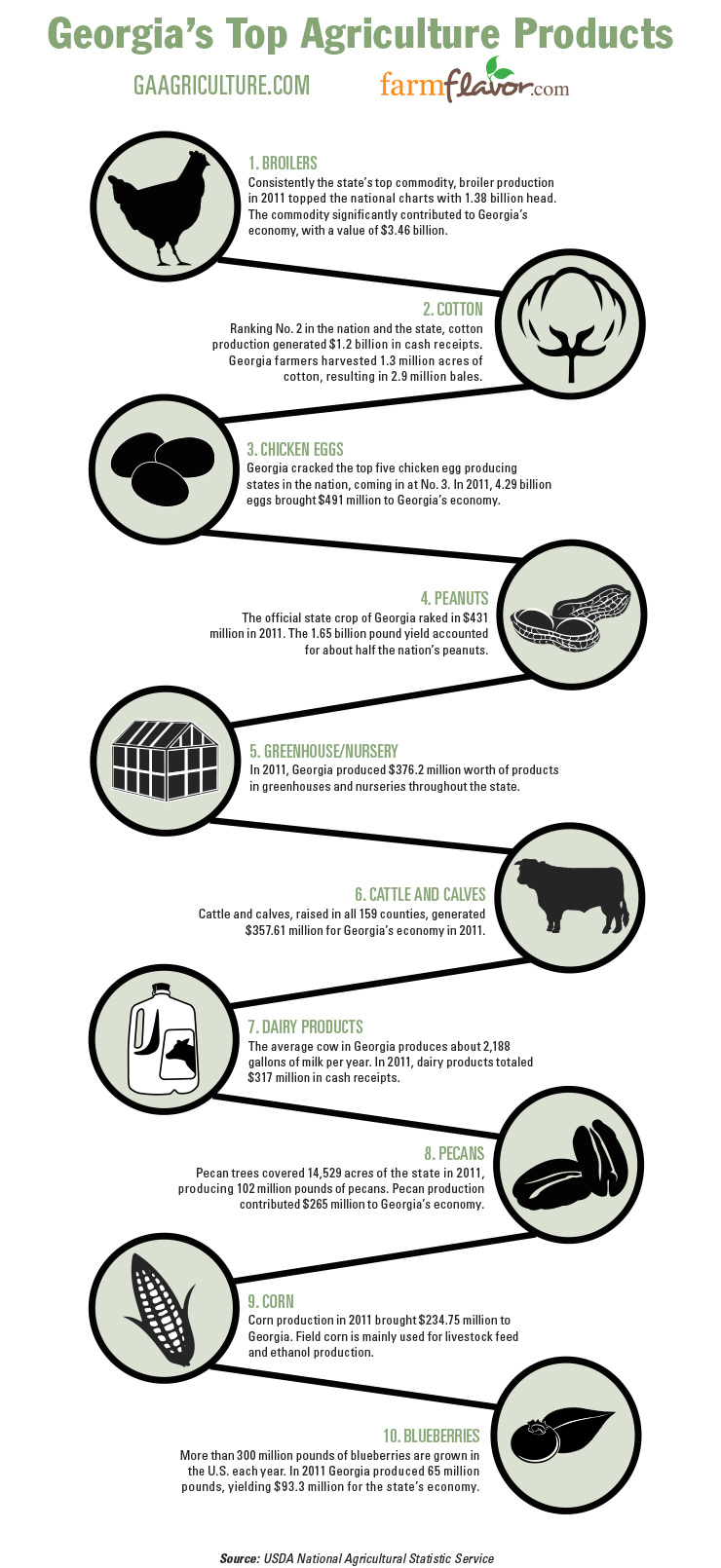 Georgia Top 10 Ag Commodities Infographic