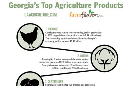 Georgia Top 10 Ag Commodities featured