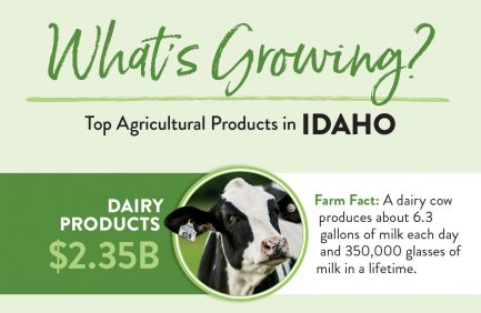 Idaho Top 10 ag products