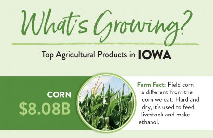 Iowa Top 10 ag products