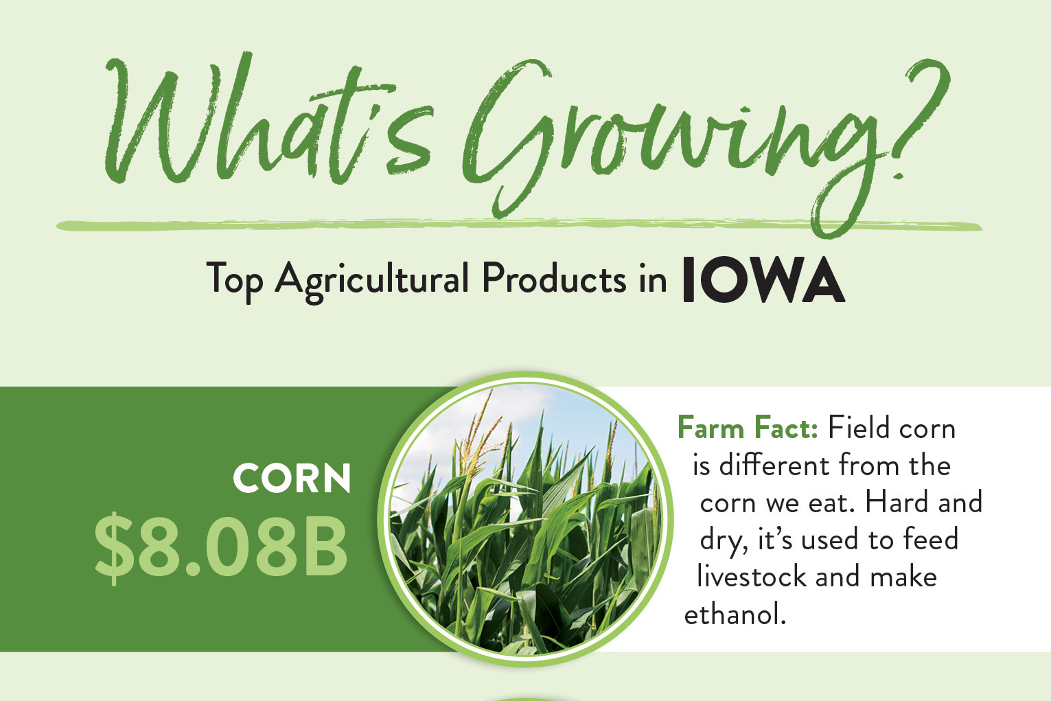 Iowa's Top 10 Ag Products (Infographic) Farm Flavor