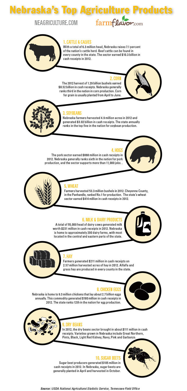 Nebraska Top 10 Ag Commodities infographic