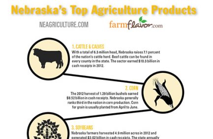 NE Ag infographic featured image