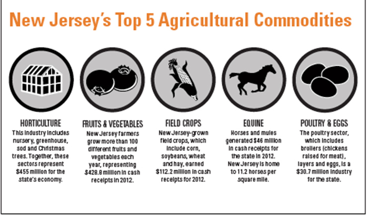 New Jersey Agriculture