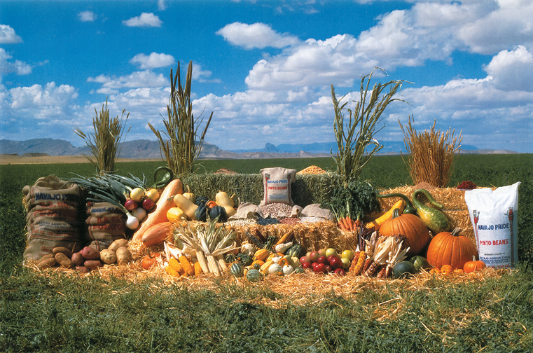 native american produce