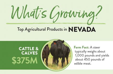 Nevada Top 10 ag products