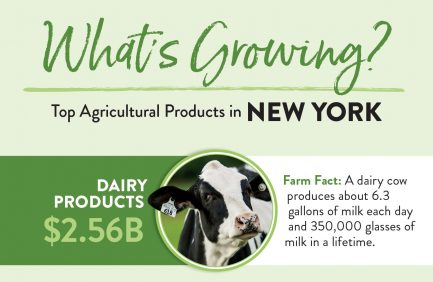 New York Top 10 ag products