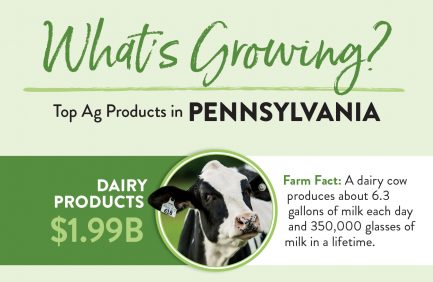 Pennsylvania Top 10 ag products