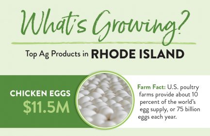 Rhode Island Top 10 ag products