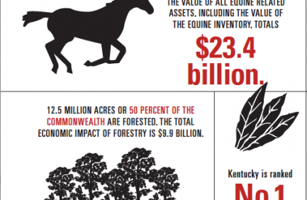 Kentucky Agriculture Infographic
