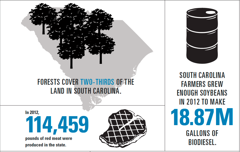 South Carolina Agriculture Infographic