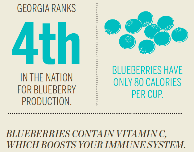 Georgia Blueberry [Infographic]