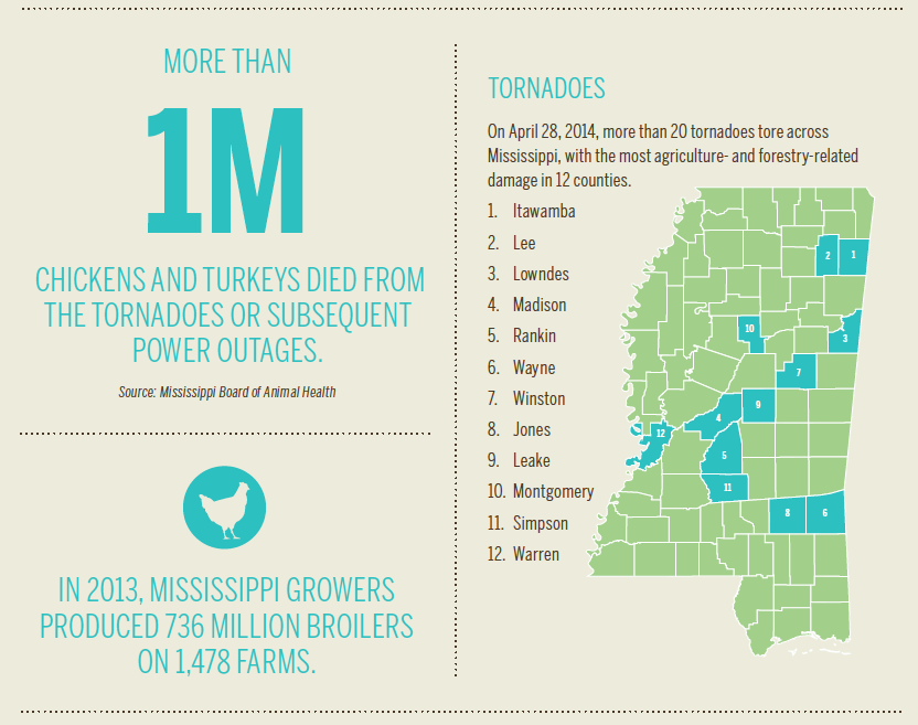 Mississippi Poultry [INFOGRAPHIC]