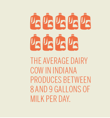 Indiana Dairy