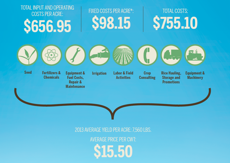 cost of arkansas rice farming